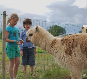 Parc animalier Vendée