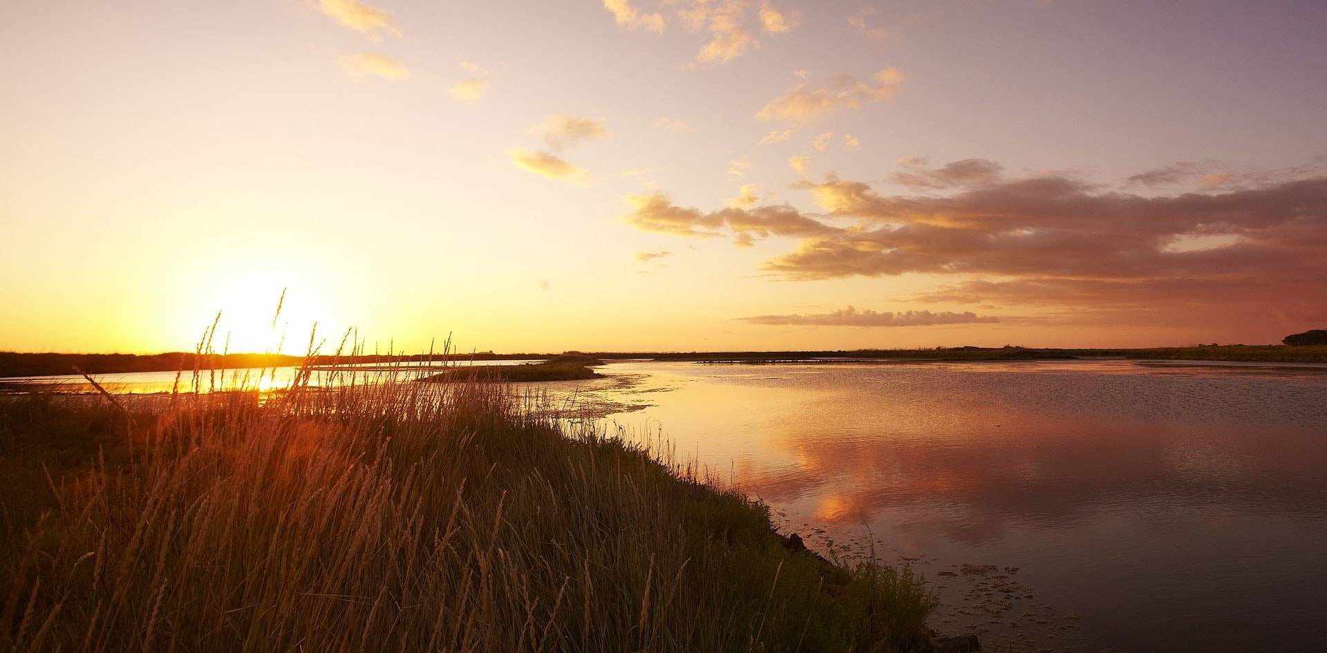 ᐃ LA DIVE ****, photo n° 1