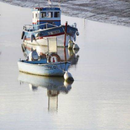 Découvrez l'ambiance chaleureuse de notre port de pêche.