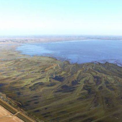 Moment de détente sur les plages.