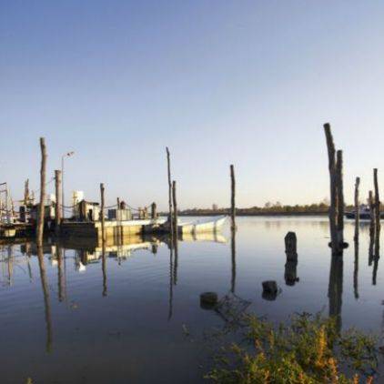 Port traditionnel de l'Aiguillon sur Mer