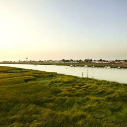 Promenade à pied ou à vélo jusqu'à la pointe d'Arçay