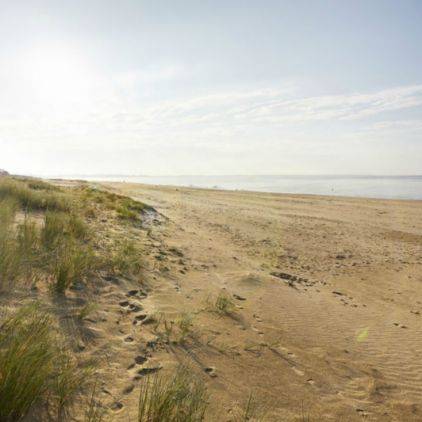 Une journée plage sous le soleil de La Tranche sur Mer en Vendée, au programma : châteaux de sable, baignade, pique nique, activités nautiques : surf, planche à voile, kitesurf...